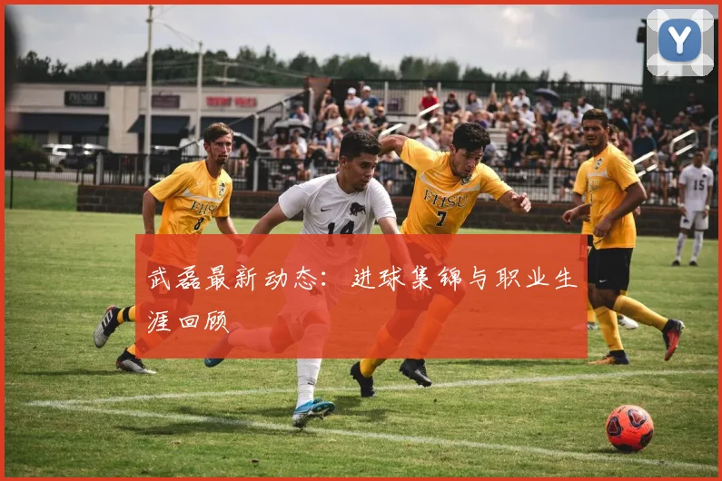 武磊最新动态:进球集锦与职业生涯回顾