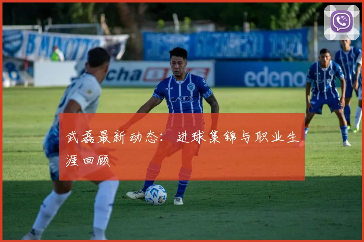 武磊最新动态：进球集锦与职业生涯回顾